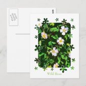 WILDFLOWERS BRIEFKAART (Voorkant / Achterkant)