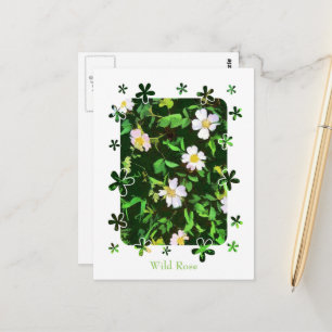 WILDFLOWERS BRIEFKAART
