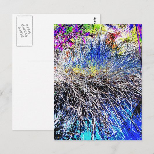 WILDFLOWERS BRIEFKAART (Voorkant / Achterkant)