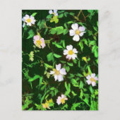 WILDFLOWERS BRIEFKAART (Voorkant)