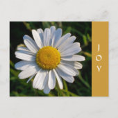 WILDFLOWERS BRIEFKAART (Voorkant)