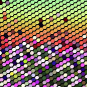 WILDFLOWERS CANVAS AFDRUK