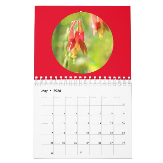 Wildflowers Close-Up Forest Photography Kalender (Mei 2026)