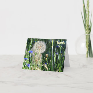 Wildflowers en Puffball, danken u Bedankkaart