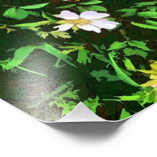 WILDFLOWERS FOTO AFDRUK (Hoek)