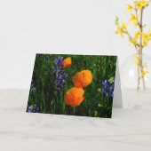 Wildflowers in de Provincie van Sonoma Kaart (Gele Bloem)