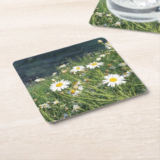 Wildflowers, La Jolla baai, CA Kartonnen Onderzetters (Schuin)