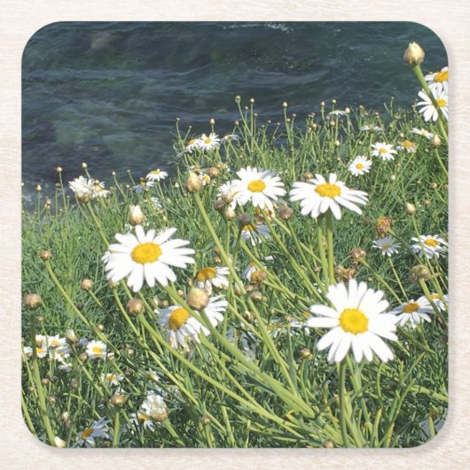 Wildflowers, La Jolla baai, CA Kartonnen Onderzetters (Voorkant)