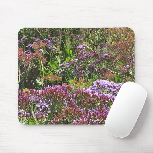 Wildflowers, La Jolla Cove, Californië Muismat (Met muis)