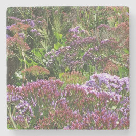 Wildflowers, La Jolla Cove, Californië Stenen Onderzetter