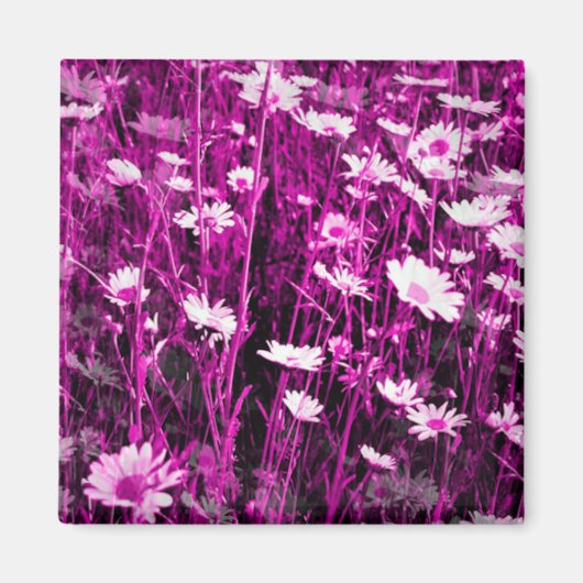 WILDFLOWERS MAGNEET (Voorkant)