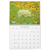 Wildflowers of Texas Kalender (Jan 2027)