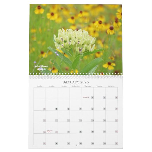 Wildflowers of Texas Kalender (Jan 2026)