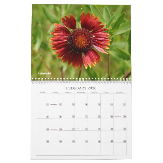 Wildflowers of Texas Kalender (Feb 2026)