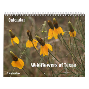Wildflowers of Texas Kalender