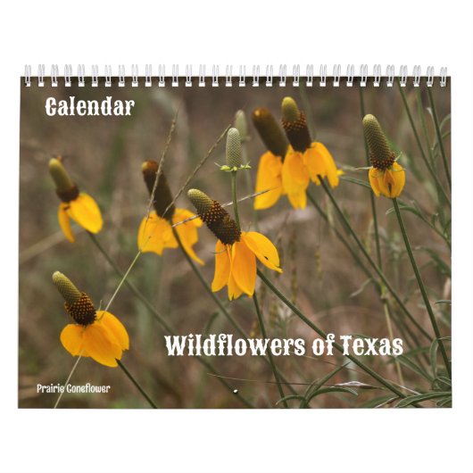 Wildflowers of Texas Kalender (Hoes)