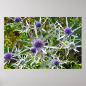 WILDFLOWERS POSTER (Voorkant)