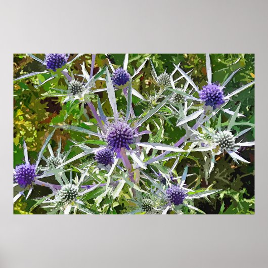 WILDFLOWERS POSTER (Voorkant)