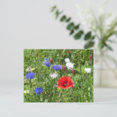 Wildflowers: Rood Wit Blauw DIY Briefkaart (Staand voorkant)