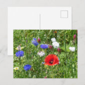 Wildflowers: Rood Wit Blauw DIY Briefkaart (Voorkant / Achterkant)