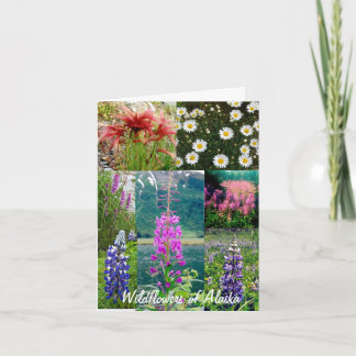 Wildflowers van Alaska Kaart