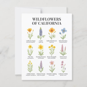 Wildflowers van Californië - Botanische Waterverf  Briefkaart
