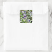 WILDFLOWERS VIERKANTE STICKER (Tas)