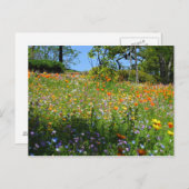 Wildflowerskaart van Napa Briefkaart (Voorkant / Achterkant)