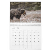 Wildfotografie-agenda Kalender (Mar 2026)