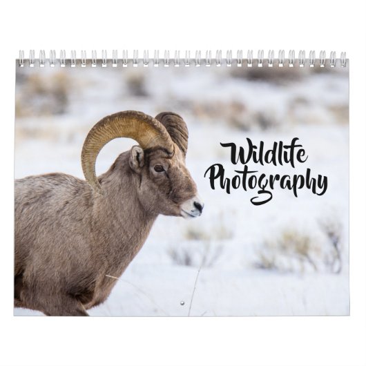 Wildfotografie-agenda Kalender (Hoes)