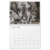 Wildfotografie-agenda Kalender (Jan 2026)
