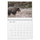 Wildfotografie-agenda Kalender (Mar 2027)