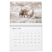 Wildfotografie-agenda Kalender (Feb 2027)