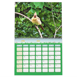 Wildfotografie-agenda Kalender