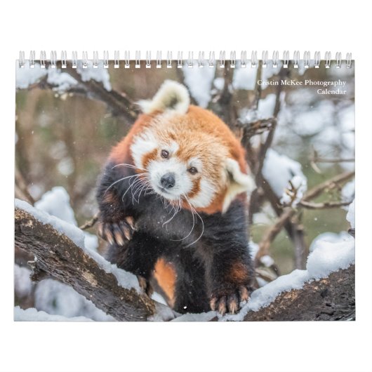 Wildfotografie-agenda Kalender (Hoes)