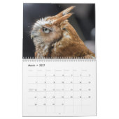 Wildfotografie-agenda Kalender (Mar 2027)