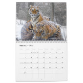 Wildfotografie-agenda Kalender (Feb 2027)