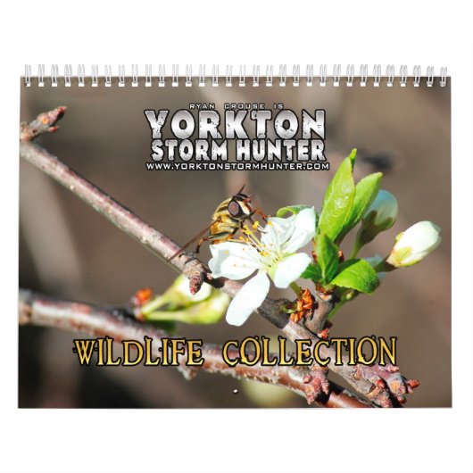 Wildfotografie Collectie agenda Kalender (Hoes)