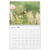 Wildfotografie Collectie agenda Kalender (Jan 2027)