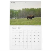Wildfotografie Collectie agenda Kalender (Feb 2027)