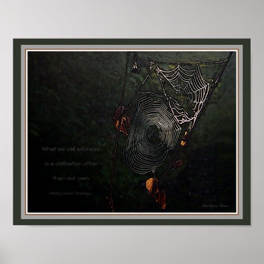 Wildheid: Een andere beschaving dan onze eigen Poster (Voorkant)
