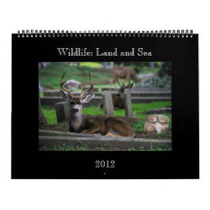 wildkalender - 2012 kalender