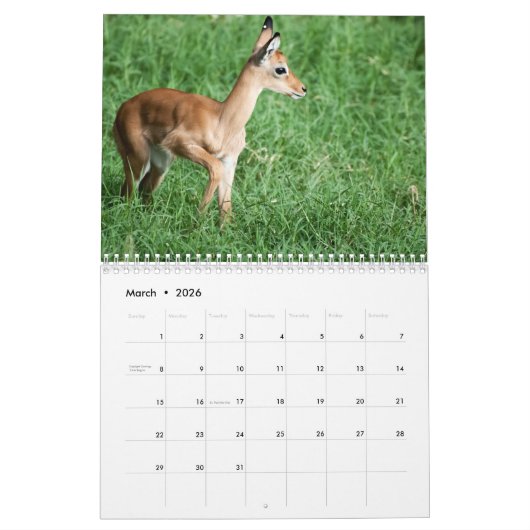 Wildkalender 2017 kalender (Mar 2026)