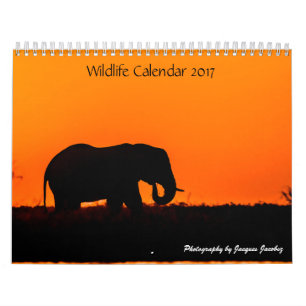 Wildkalender 2017 kalender