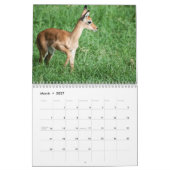Wildkalender 2017 kalender (Mar 2027)