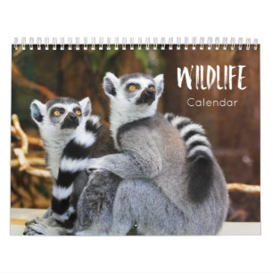 wildkalender 2021 kalender