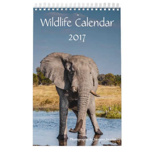 Wildkalender 2021 kalender (Hoes)