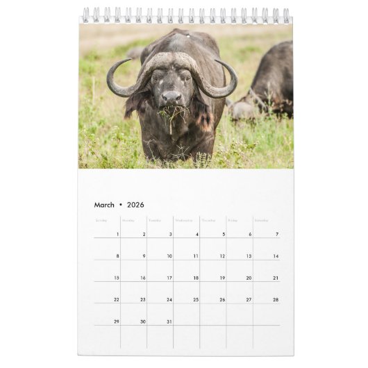 Wildkalender 2021 kalender (Mar 2026)