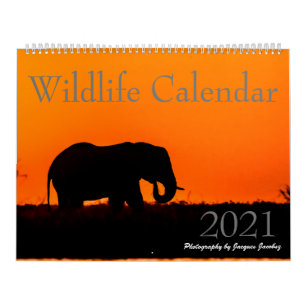 Wildkalender 2021 kalender