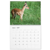 Wildkalender 2021 kalender (Mar 2027)
